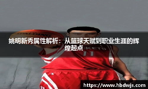 姚明新秀属性解析：从篮球天赋到职业生涯的辉煌起点