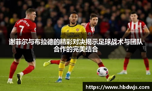 谢菲尔与布拉德的精彩对决揭示足球战术与团队合作的完美结合